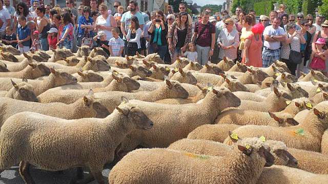 Image Ouest-france