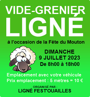 Vide grenier à Ligné